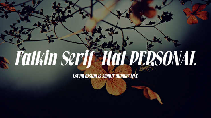 Falkin Serif  Ital PERSONAL Font Family