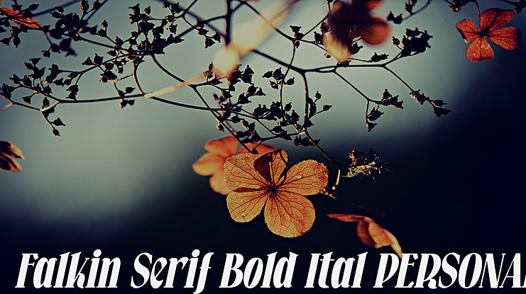 Falkin Serif  Ital PERSONAL Font Family