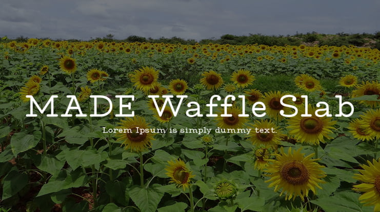 MADE Waffle Slab Font