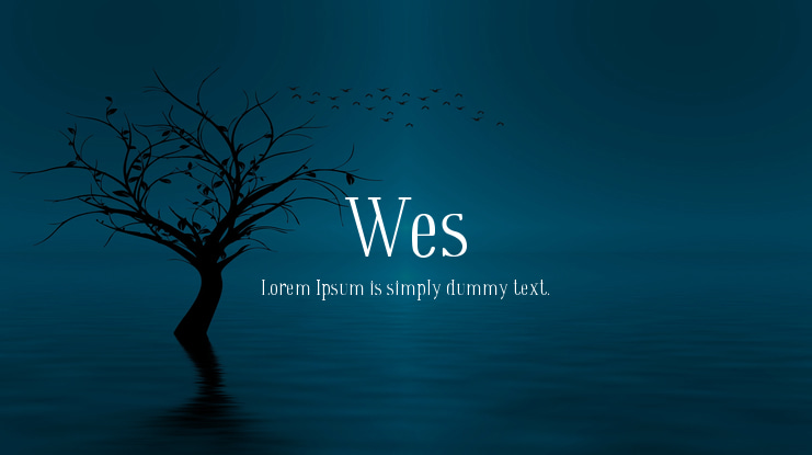 Wes Font