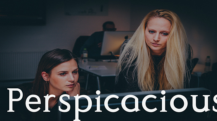 Perspicacious Font Family