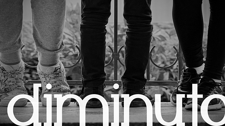 Diminuto Font
