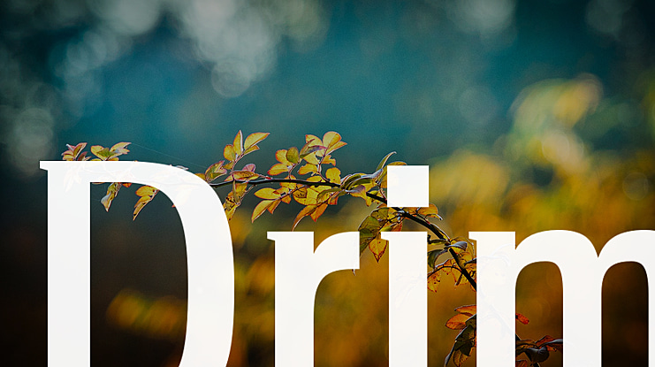 Drim Font