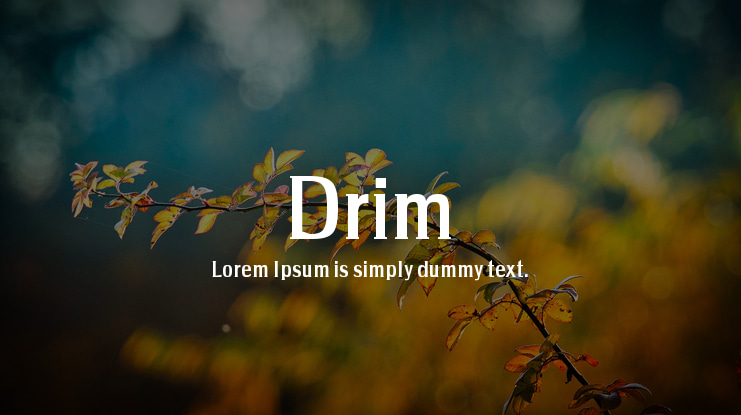 Drim Font