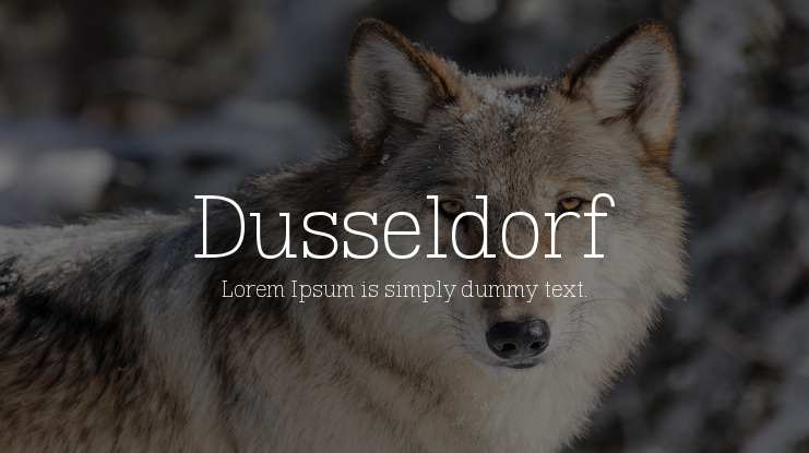 Dusseldorf Font