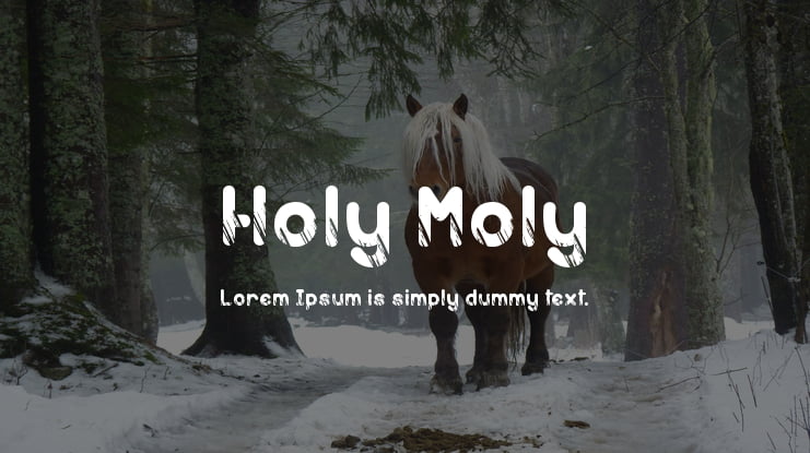 Holy Moly Font Family