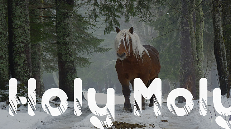 Holy Moly Font Family