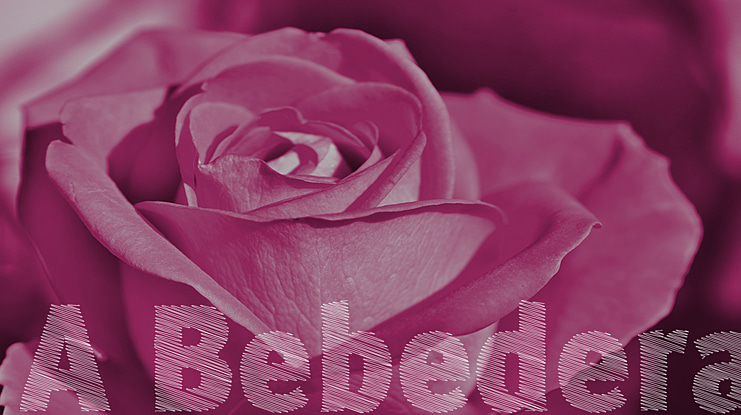 A Bebedera Font