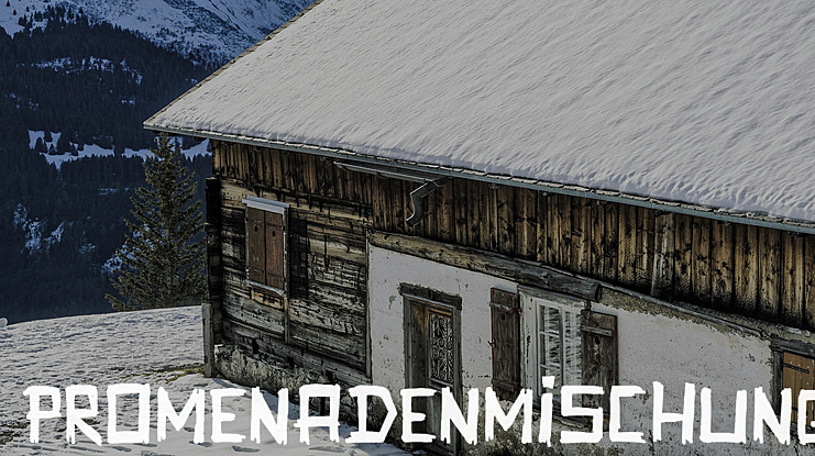 Promenadenmischung Font