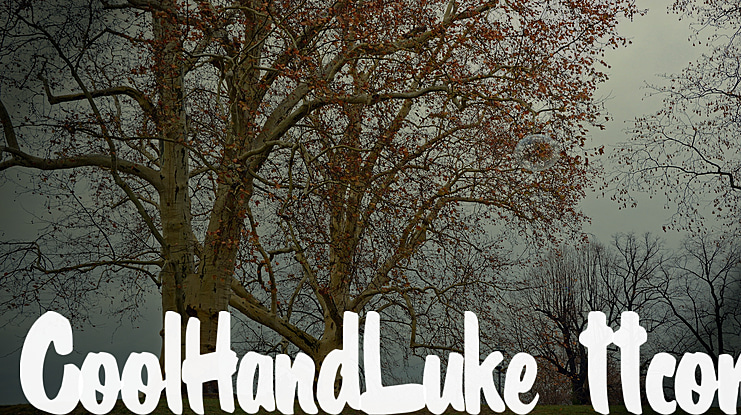 CoolHandLuke Font Family