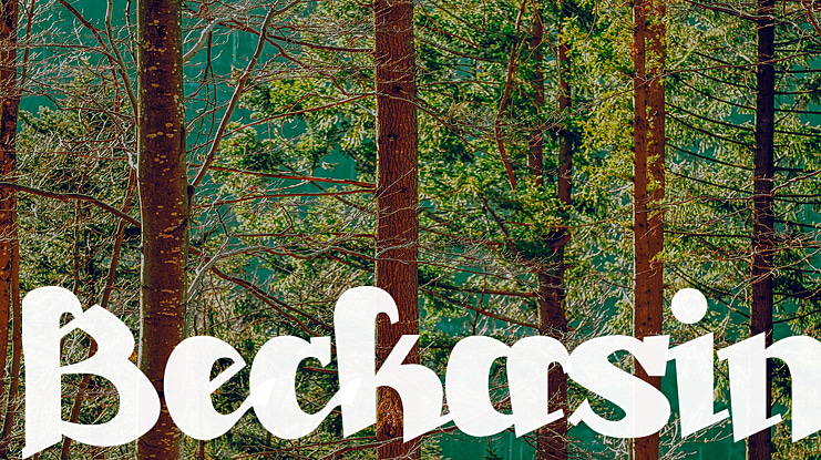Beckasin Font