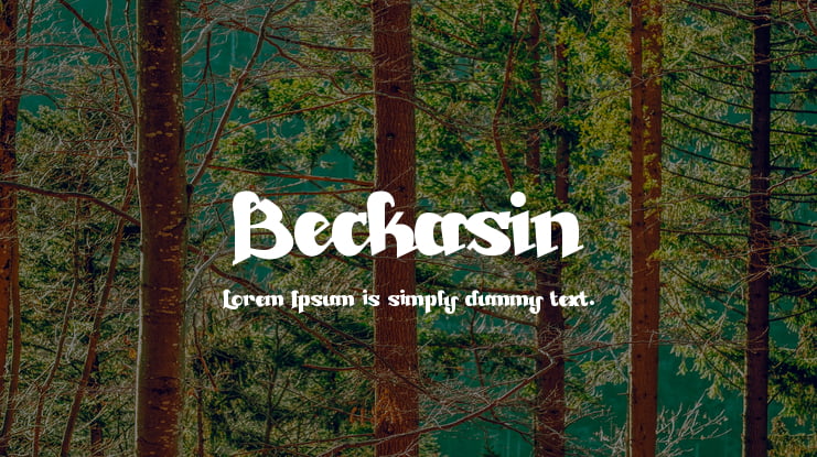 Beckasin Font