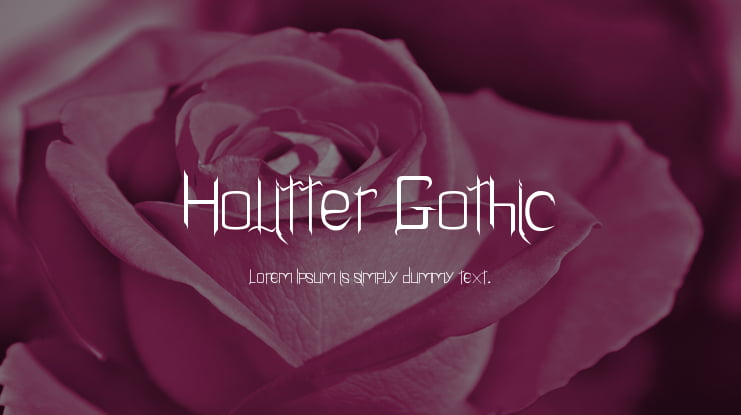 Holitter Gothic Font