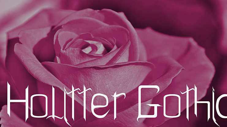 Holitter Gothic Font