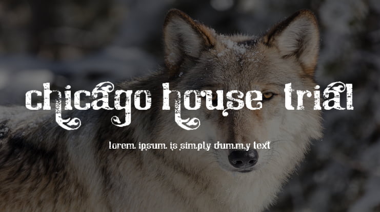 Chicago House_trial Font