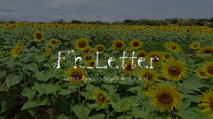 Fh_Letter Font