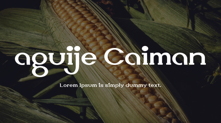 aguije Caiman Font