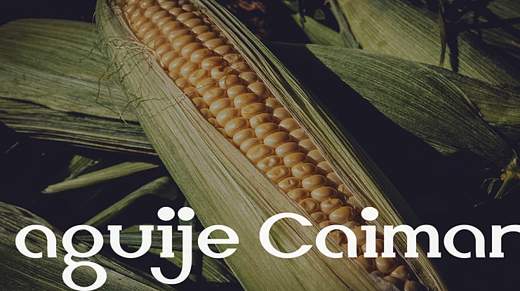 aguije Caiman Font