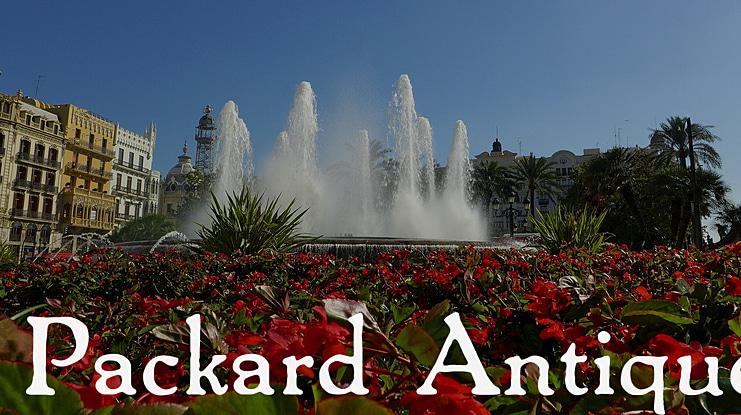 Packard Antique Font Family
