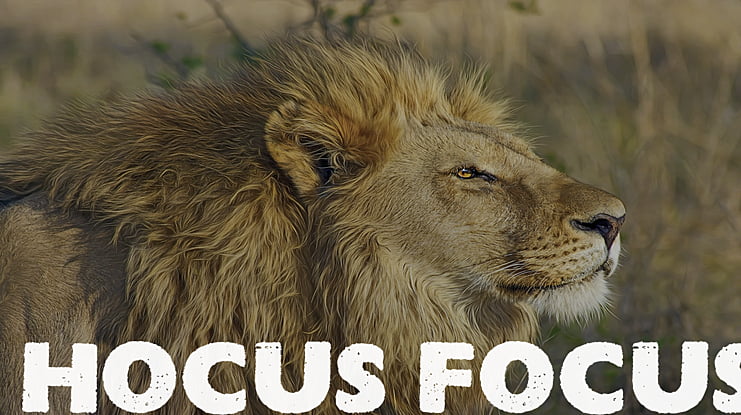 Hocus Focus Font