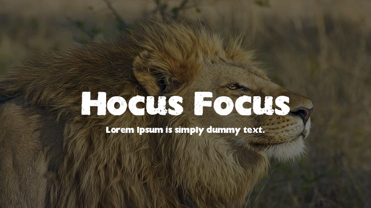 Hocus Focus Font