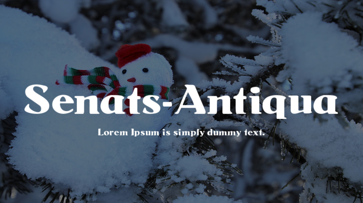 Senats-Antiqua Font
