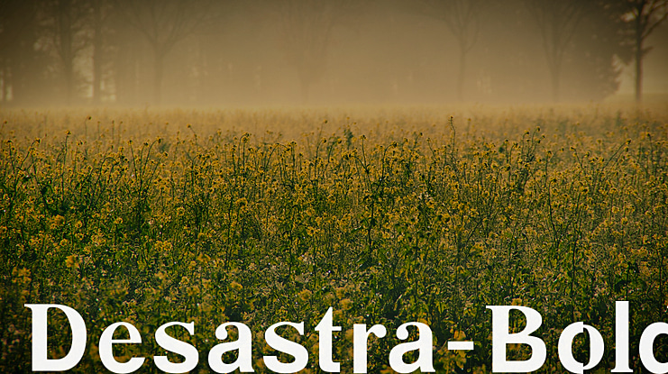Desastra- Font