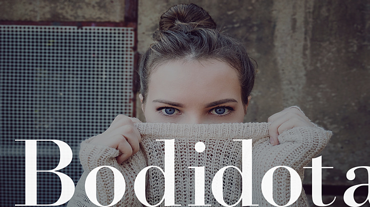 Bodidota Font