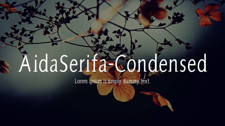 AidaSerifa-Condensed Font