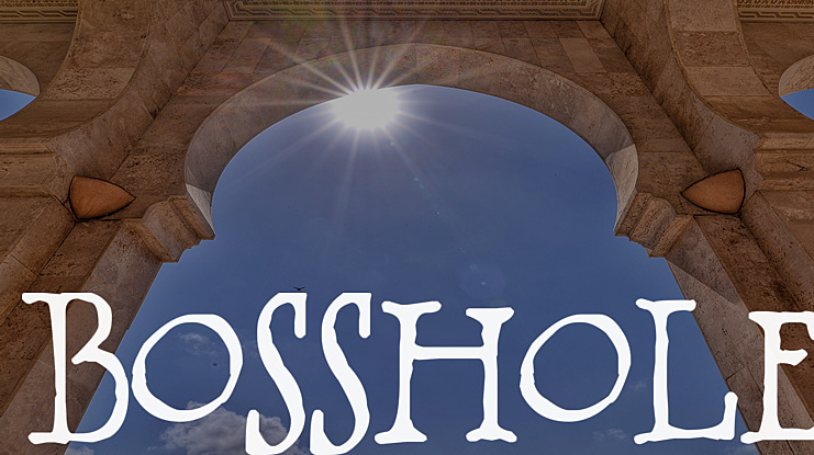 BOSSHOLE Font