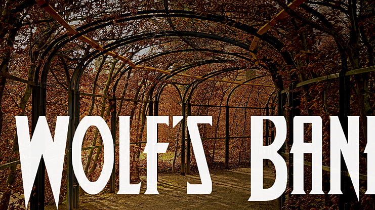Wolf's Bane Font