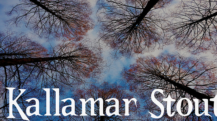 Kallamar Stout Font