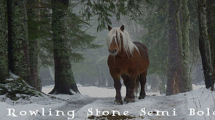 Rowling Stone Semi Font