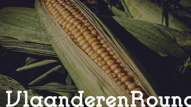 VlaanderenRound Font