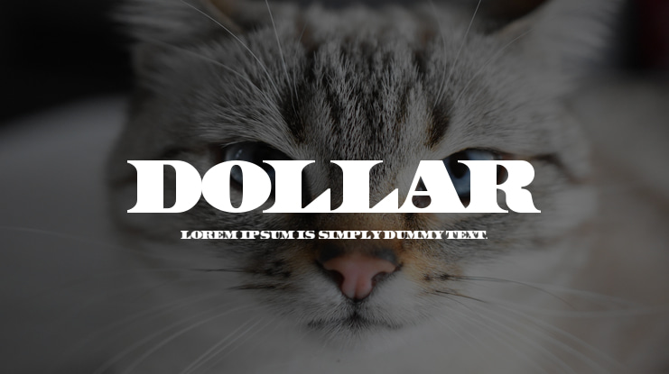 Dollar Font