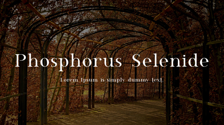Phosphorus Selenide Font Family