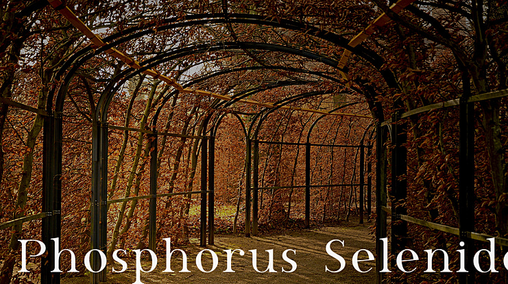 Phosphorus Selenide Font Family