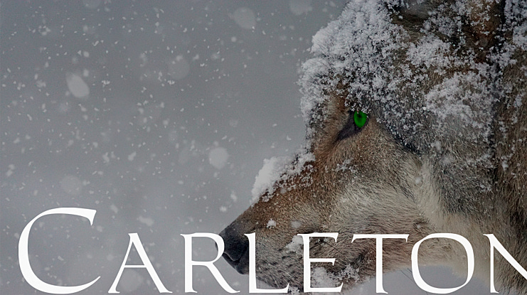 Carleton Font