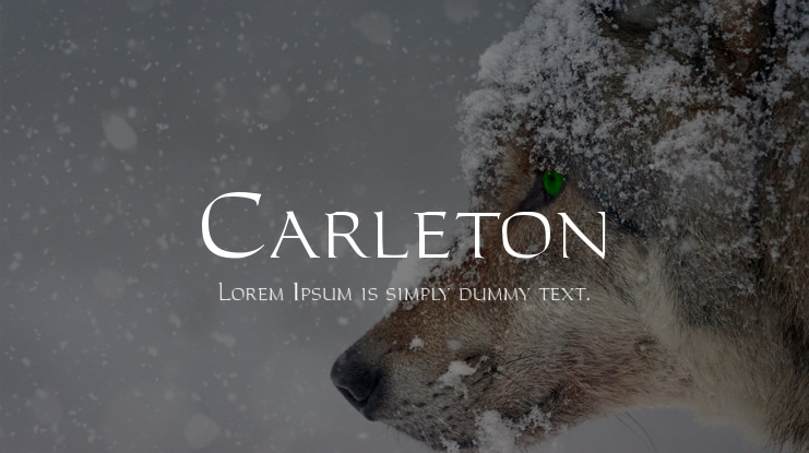 Carleton Font