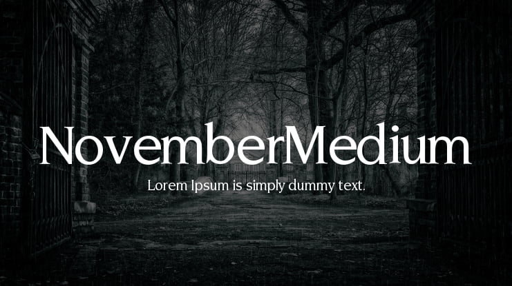NovemberMedium Font