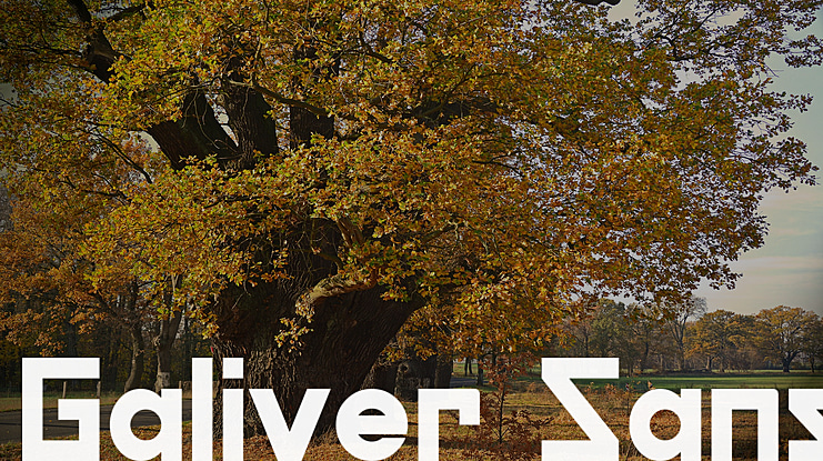 Galiver Sans Font Family