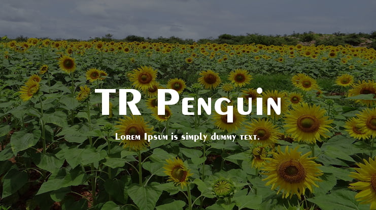 TR Penguin Font