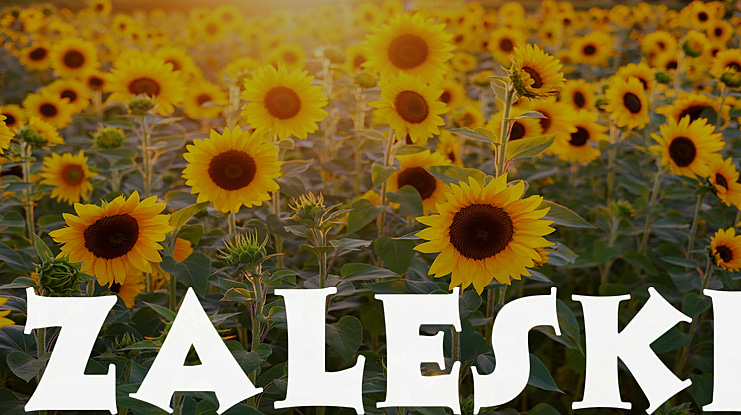 Zaleski Font