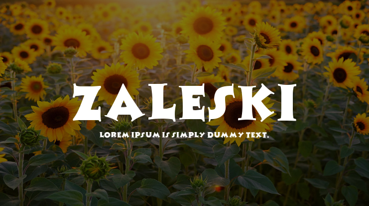 Zaleski Font