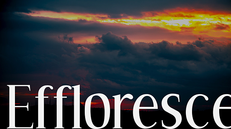 Effloresce Font