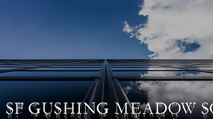 SF Gushing Meadow SC Font Family