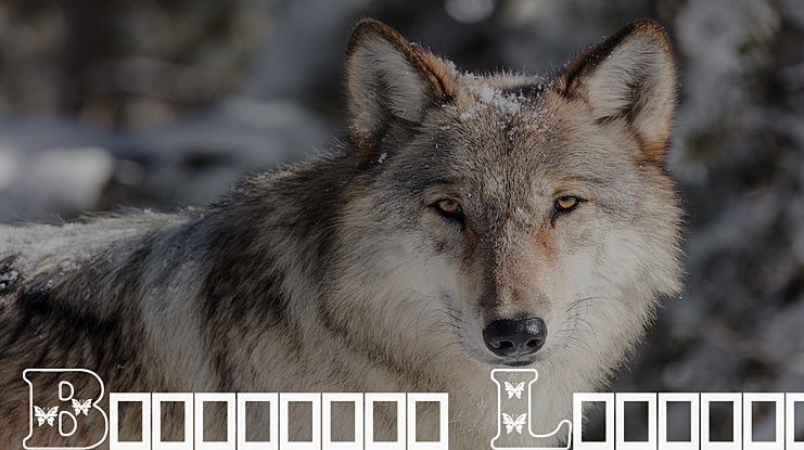 Butterfly Letters Font