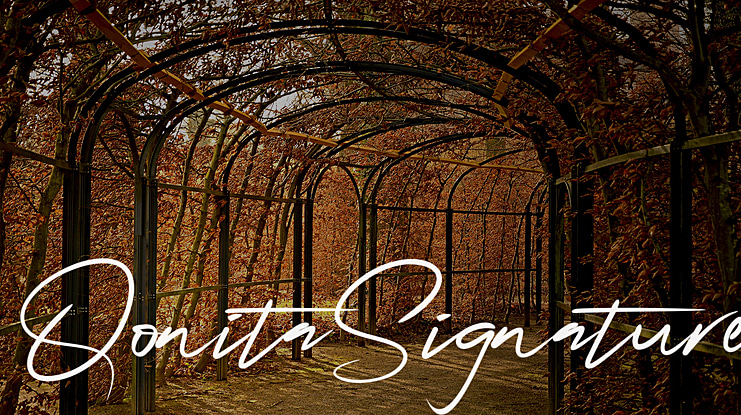 QonitaSignature Font