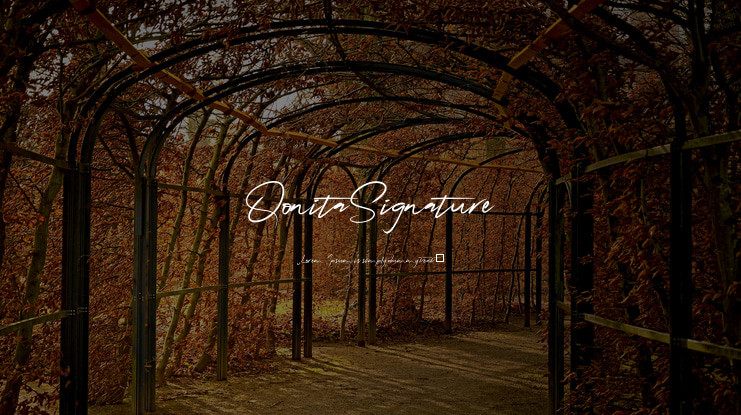 QonitaSignature Font