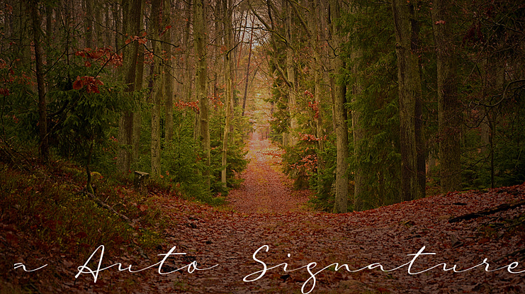 a Auto Signature Font